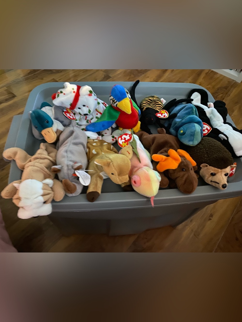 Lot of (12) TY Beanie Babies Iggy,Spinner,Rainbow, Chocolate Moose,Whisper &more